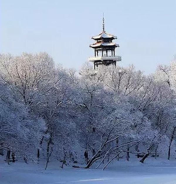龙沙公园雪景图片