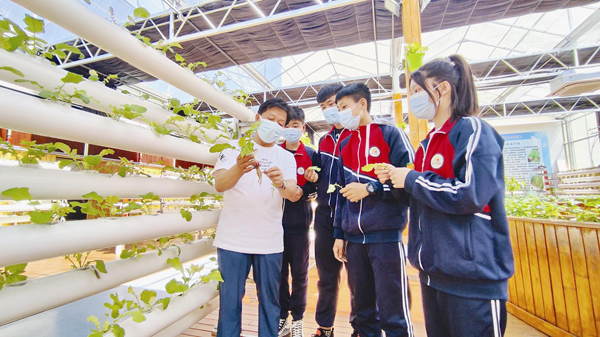 齐市电脑维修：守护您的技术伙伴