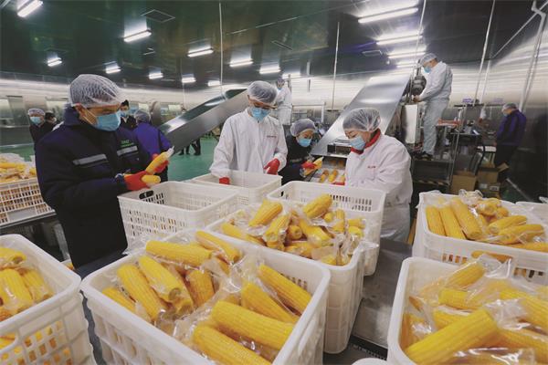 齐齐哈尔食品加工