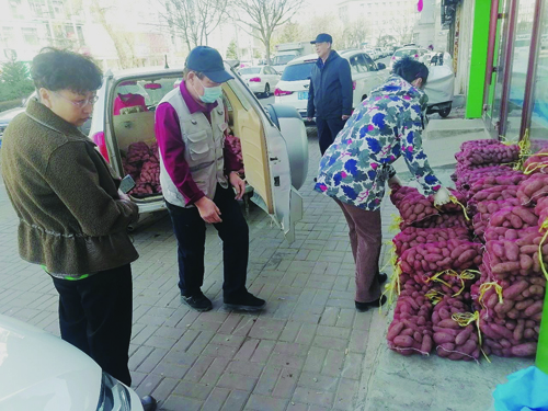 齐齐哈尔:市长跑爱心协会会员积极购买龙江县对宝村滞销土豆