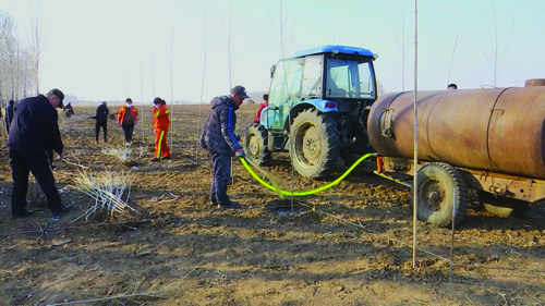 齐齐哈尔富裕县启动春季植树造林工作