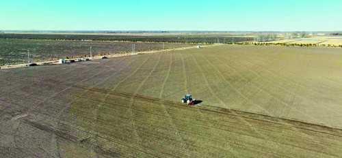 齐齐哈尔:小麦播种忙