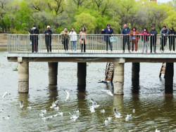 毕业生就业服务周线上直播齐齐哈尔市企业发展大会看齐·看健康第16期