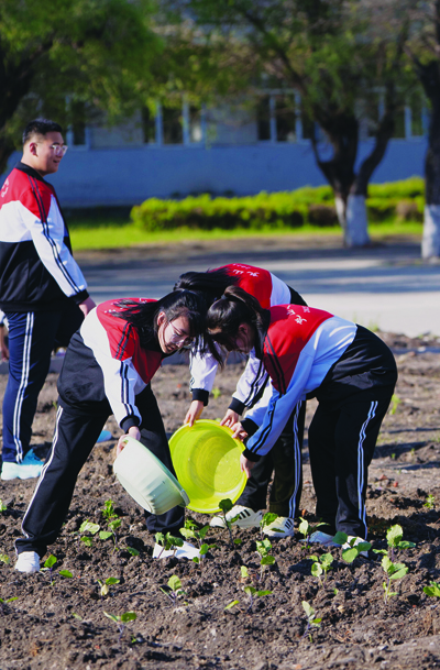 齐齐哈尔:克山一中六亩荒地变良田 师生校园耕种忙