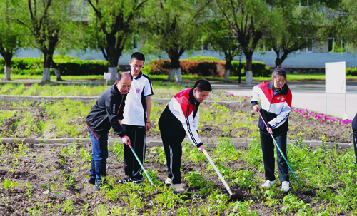 齐齐哈尔:克山一中六亩荒地变良田 师生校园耕种忙