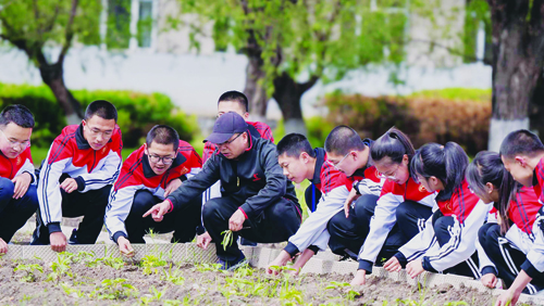 齐齐哈尔:克山一中六亩荒地变良田 师生校园耕种忙