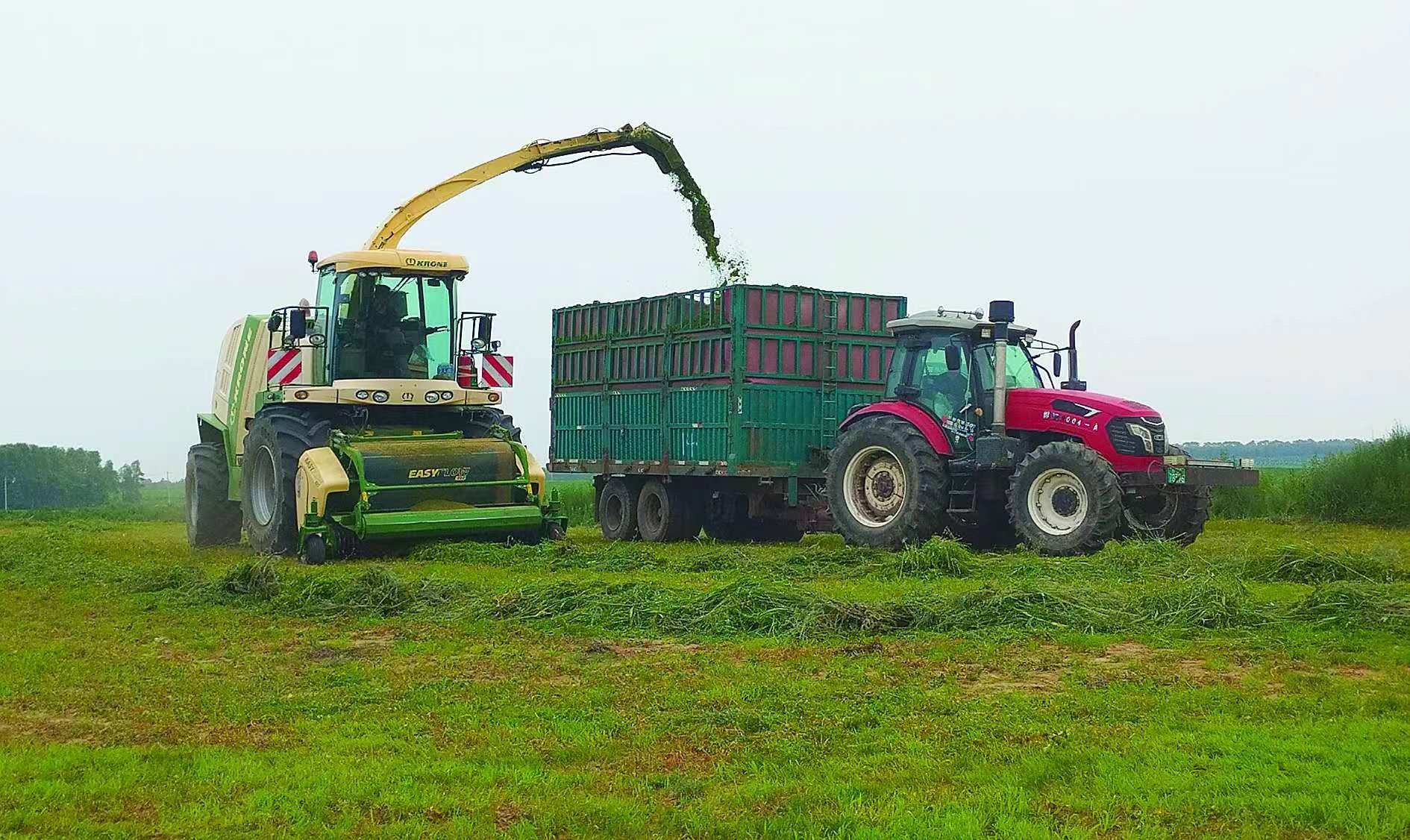 草原牧场玉川苜蓿草种植专业合作社苜蓿种植基地,随着机器的轰鸣声,一