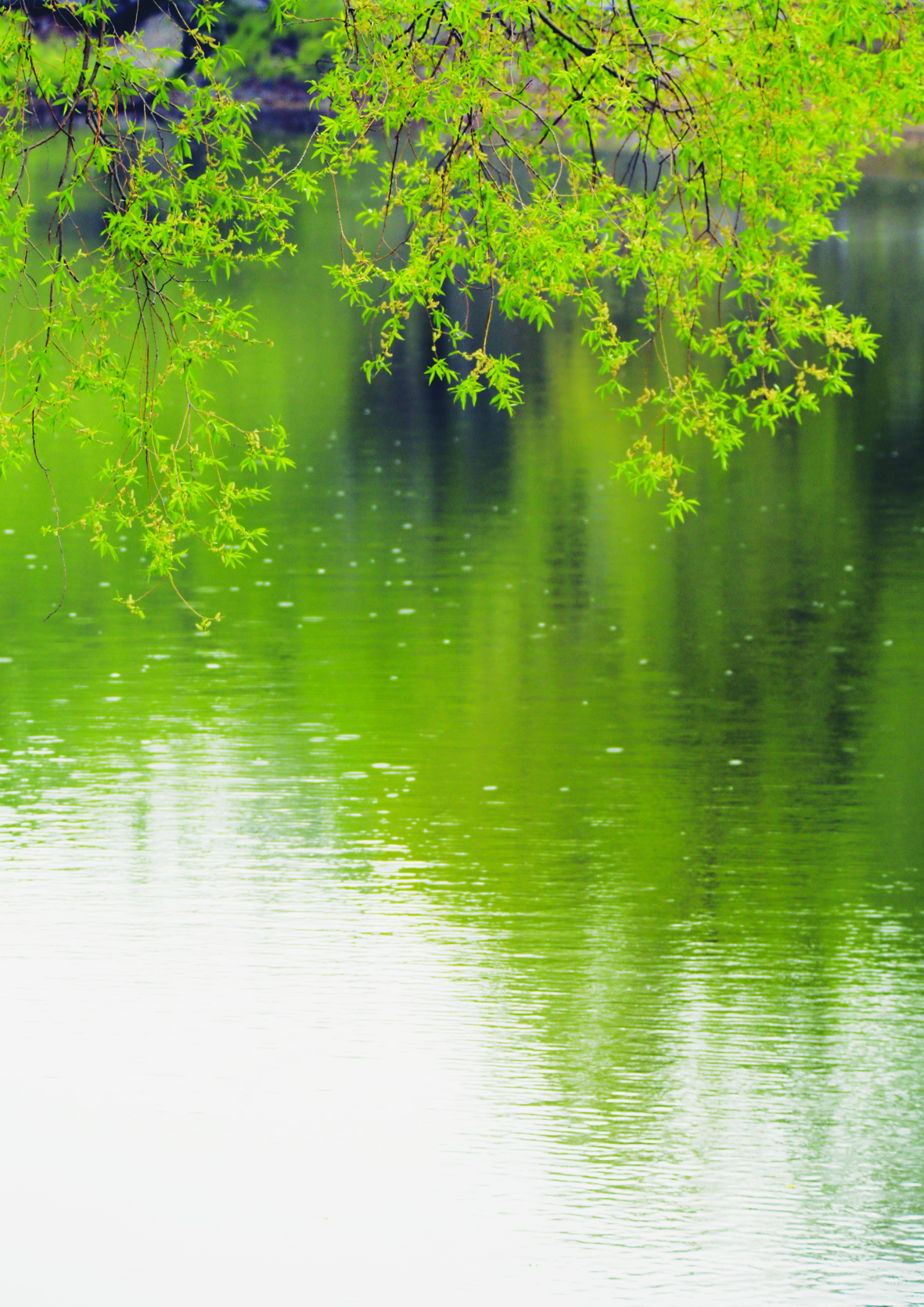 齐齐哈尔:小雨突袭城市尽显别样韵味